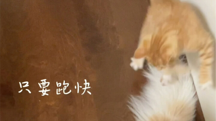 Bella terlalu polos, pasti bakal sering disakiti oleh Duoduo ke depannya.