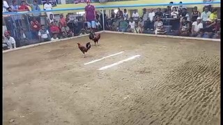Basag Sila..