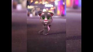 [AMV VN]A cú sài dá phiên bản mèo tom cực kỳ dễ thương