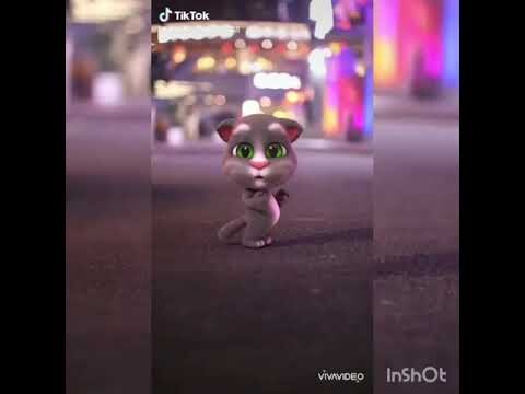 [AMV VN]A cú sài dá phiên bản mèo tom cực kỳ dễ thương