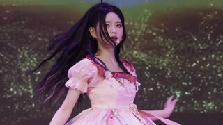 【4K60P】20230611 BEJ48-郑照暄 《春夏秋冬》focus