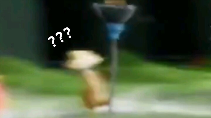 【แสงแห่งการเดินทาง】เมื่อเพื่อนๆ ทุกคนต่างนั่งเฝ้าแต่กลับติดตามคุณอยู่…