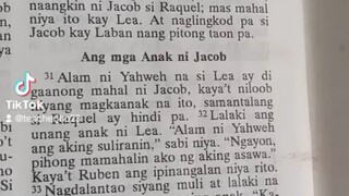 Pang Araw Araw na Talata.                           Genesis 29:31-35