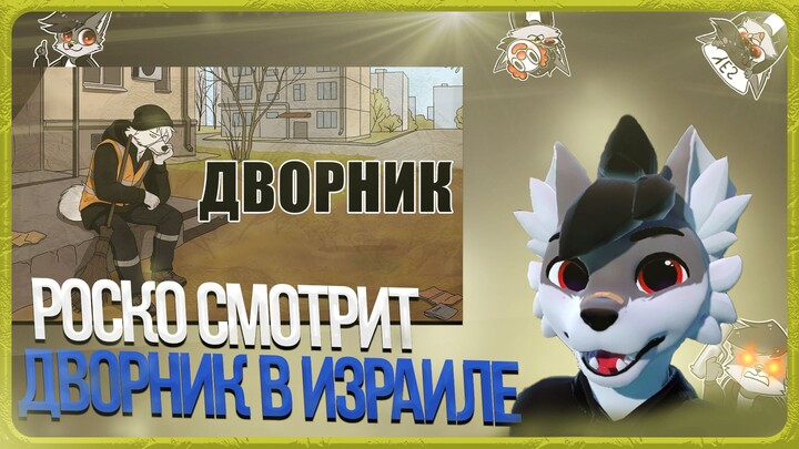 🐺 Роско смотрит Волчий собор - Я работал дворником