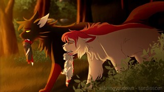Welcome back... -  PMV commission