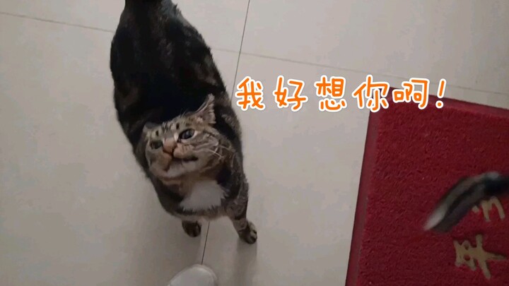 “عدت أخيرًا؟! اشتقت لك كثيرًا…”