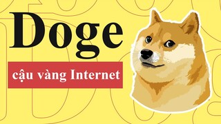 CHÚ CHÓ TRONG MEMES CHEEMS VÀ DOG CƠ BẮP LÀ AI ? | DOGE LÀ GÌ? |   TỪ ĐIỂN INTERNET