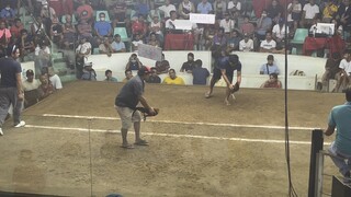 2nd fyt loss @antipolo 2hits
