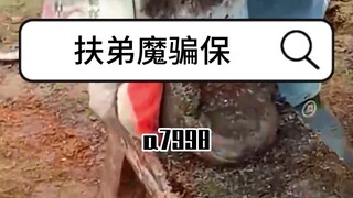 (High Score Revenge) I sent my uncle’s family to have food and shelter