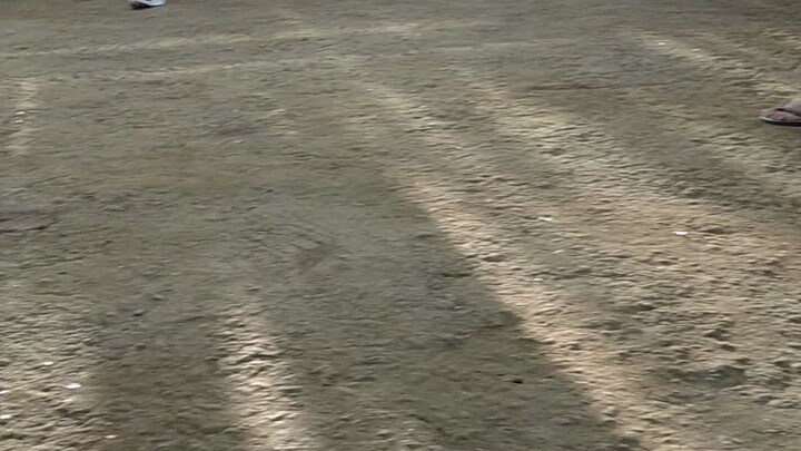 kung hindi lng pabagal bagal ang sentenxador at hindi manok ng sabungan nakalaban.sure sana sa panlo