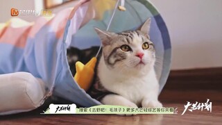 Đi Nào, Cún Con! EP 5 [Sub Việt]