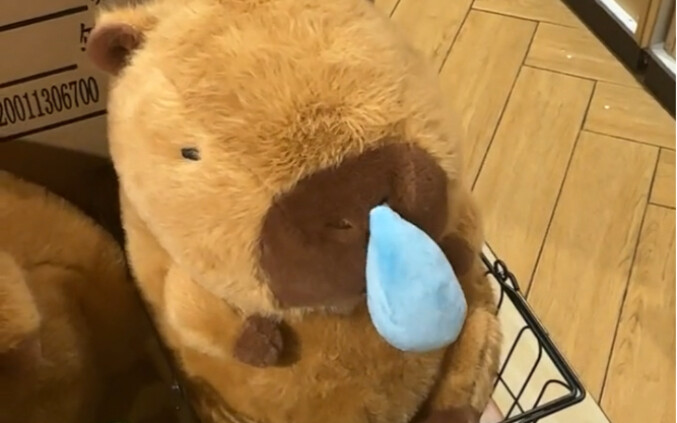 Trời lạnh thế này mà làm con capybara của tôi cũng bị cảm lạnh luôn rồi～