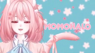 ✽ What Momo Usually Do On Her Livestream? ✽ VTUBER CLIP