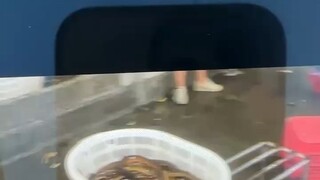 只要你还愿意努力，世界总会给你惊喜的🎆