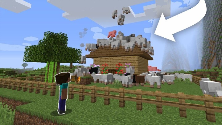 Người chơi: Nhà tôi đang phun cừu !? (Cảnh báo của Yangcun)