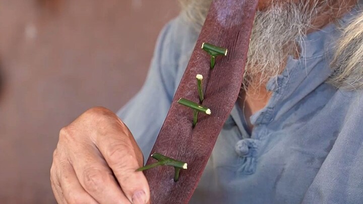 Dulu waktu masih kecil, tetangga sebelah sembelih babi tahunan, kakek bawa pulang limpa babi yang ng