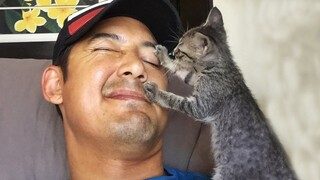 Cats Love Their Human On A Different Level But It's Real Love - Cute Cat Show Love To Owner