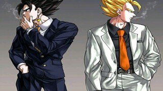 [Dragon Ball] Vegeta: Do you put it first or I put it first. Gogeta: Together, together