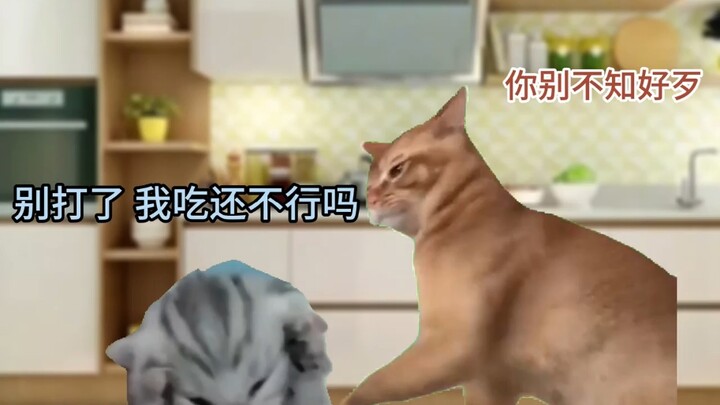 When Your Girlfriend Tries Cooking for You Using Online Recipes