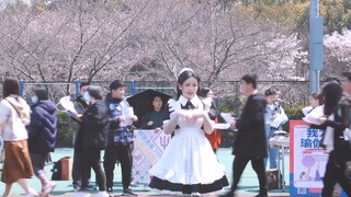 Danced the love cycle on the school playground｜Maid ver｜Lu Chunxi