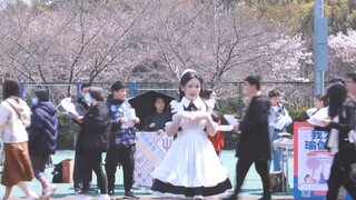 Nhảy vào vòng xoáy tình yêu ở sân trường ｜Maid ver｜Lu Chunxi