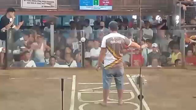 alimbuyogin win