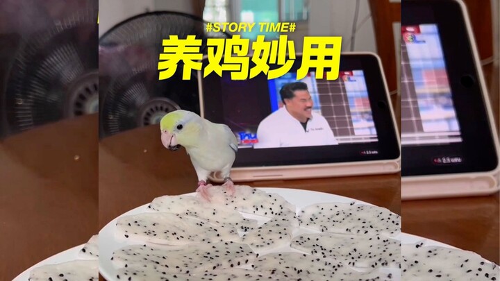 多功能鸡
