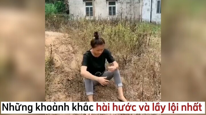 Những video hài hước và lầy lội