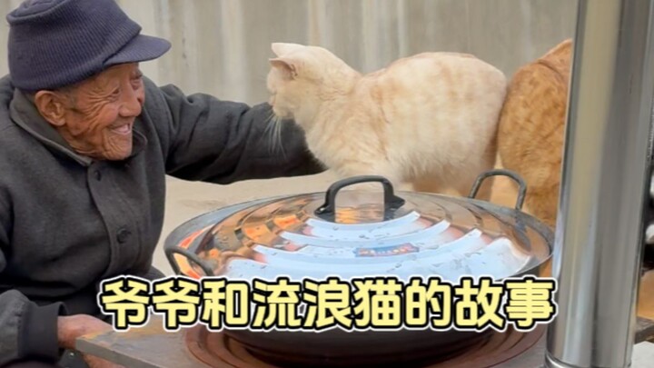 Cat lovers probably all end up like this grandpa when they get old, right?