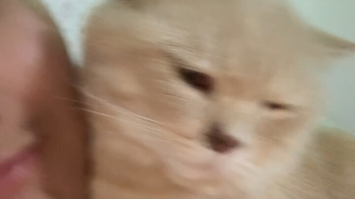 Are you a good little kitty for Daddy now?
