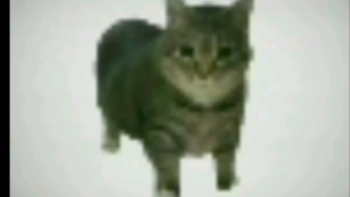 Hardbass Oiiaioooooiai