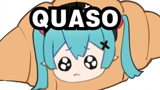 QUASO croissant cat but the tea is cold