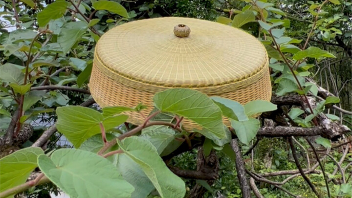 Table dish cover