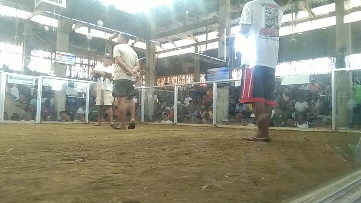 Own Breed 2.0