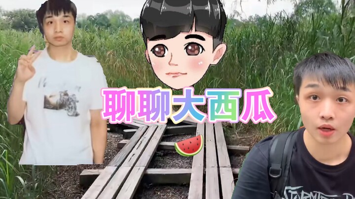 聊聊曾经的猫榜第一大西瓜，从万人敬仰到万人唾弃到底经历了什么