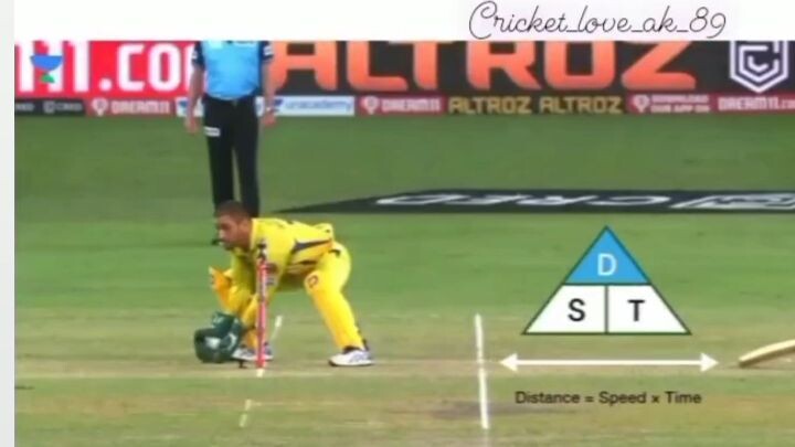 cricket lovers