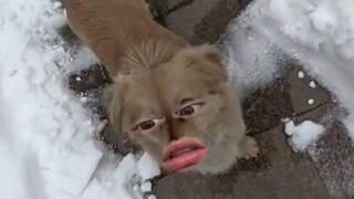 以后少做这种不好意思的事