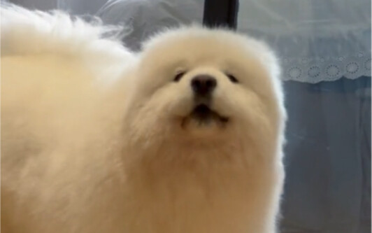 Ibu sendiri harusnya tetap dimanjakan oleh anaknya sendiri