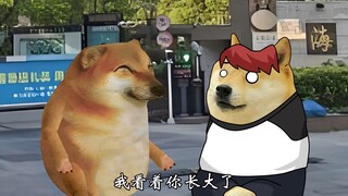 现实版（楚门的世界）！