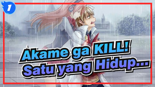 Akame ga KILL! | [Kesedihan] Yang Bisa Bertahan Adalah Yang Paling Menderita_1