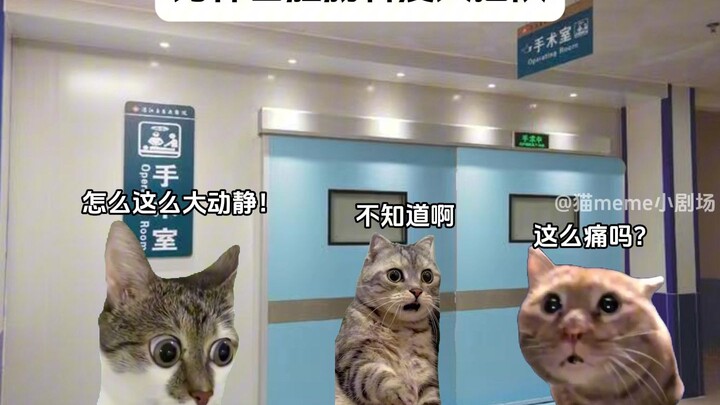 Tại sao trong khoa hậu môn-trực tràng không ai chen ngang?