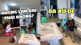 GẠO NẾP THÔNG MINH | Dùng Biện Pháp Mạnh Giúp Sen Con Làm Bài Tập Về Nhà | Yêu Lu