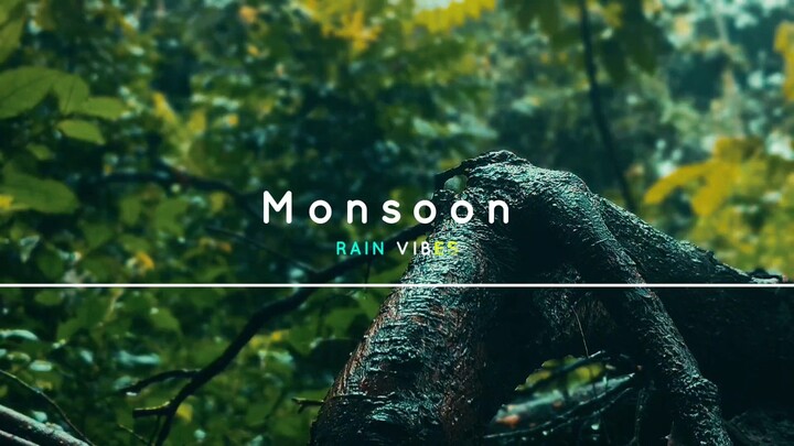 The beauty of the rainy season ☔🌦️🤗