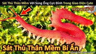 Review Động Vật Là Sát Thủ Thân Mềm Với Cơ Thể Đặc Biệt Thú Vị || Review Giải Trí Đời Sống