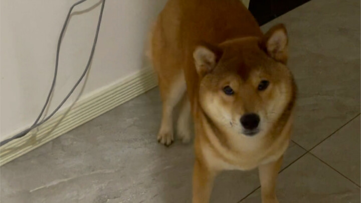 Mom's big boy (truly not deceiving me)