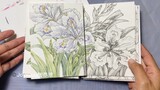 ลักษณะหนังสือ (ปากกาเข็ม + ดอกไม้สีน้ำและแบบฝึกหัดต้นไม้)