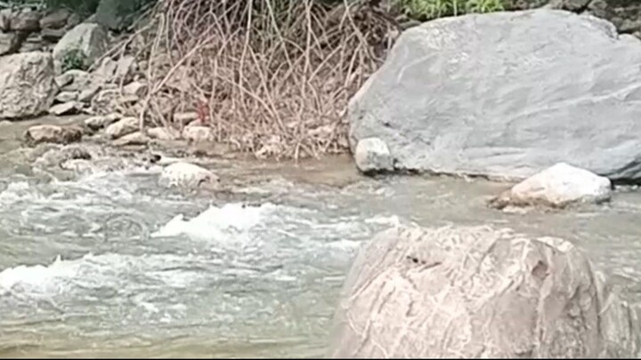 cast netting in Nepal | himalayan trout fishing with handmade cast net |