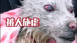 【老疯杨】曾被虐至放弃自己…