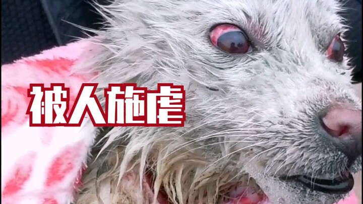 【老疯杨】曾被虐至放弃自己…