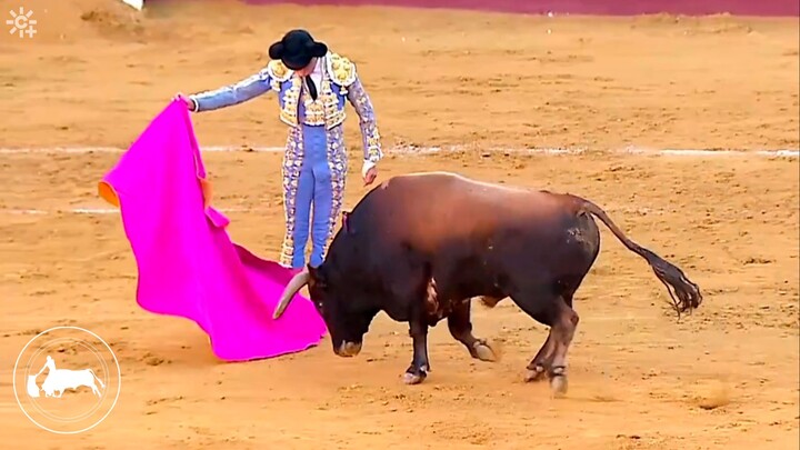 Andrés Roca Rey, primer toro, quite de David de Miranda, Feria de Málaga, 22-08-2026, CanalSurMás